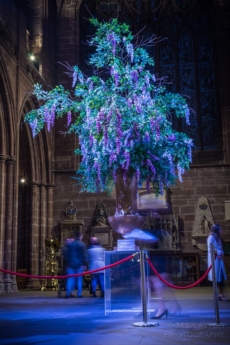 markclphoto's tweet photo. Pleasure to be photographing last weekend at the Cathedral Couture event by @MatthewOBrienUK at @ChesterCath in aid of @LadyTavernerCNW , fantastic spectacle and fabulous effort by everyone invloved. #fashion #cheshire #cathedral https://t.co/fCIn12fd4u