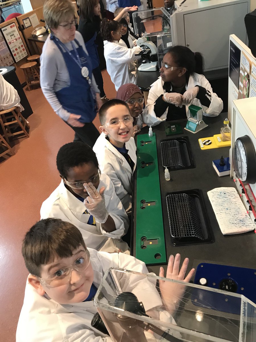 KrugerTara's tweet photo. @NeillElementary 5th grade field trip to @sciencemuseummn ! Hands on learning and Omni Theatre. #agreatplacetolearn #one91 https://t.co/gZjcqwRjSP