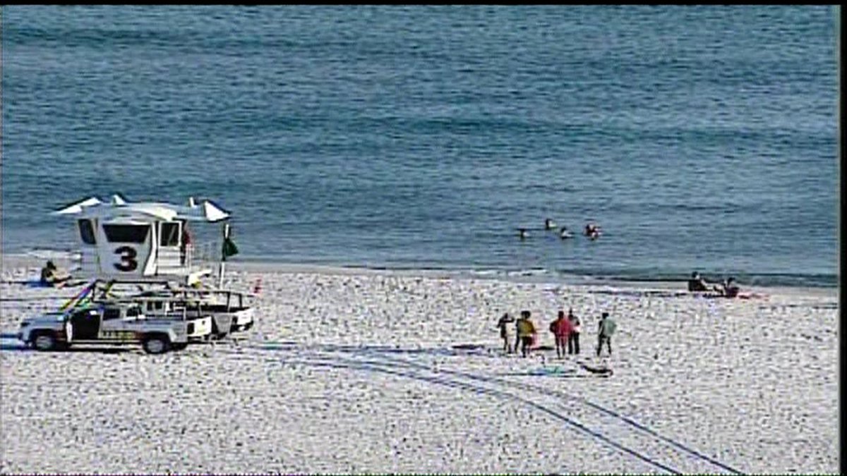 WEARAllenStrum's tweet photo. Wow! It's cold but not too cold for these folks. They are in the Gulf and the water temp is in the 60s. I'll try to get a more precise reading from the shore. Buoys way out have some warm readings.
#springbreak2018 @weartv #allenstrum1 #pensacolabeach https://t.co/ClZlACLKM9