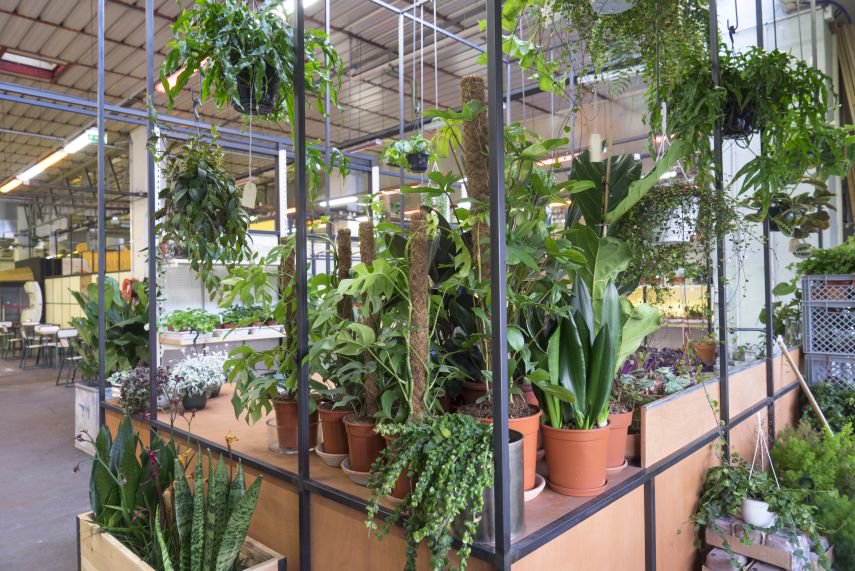 Weekends are for plant shopping, like at the brand new Mama Petula shop at Ground Control in Paris. 🌿🌵🌴☘️🍀🌱  Have a look on the blog: urbanjunglebloggers.com/mama-petula-at… #urbanjunglebloggers