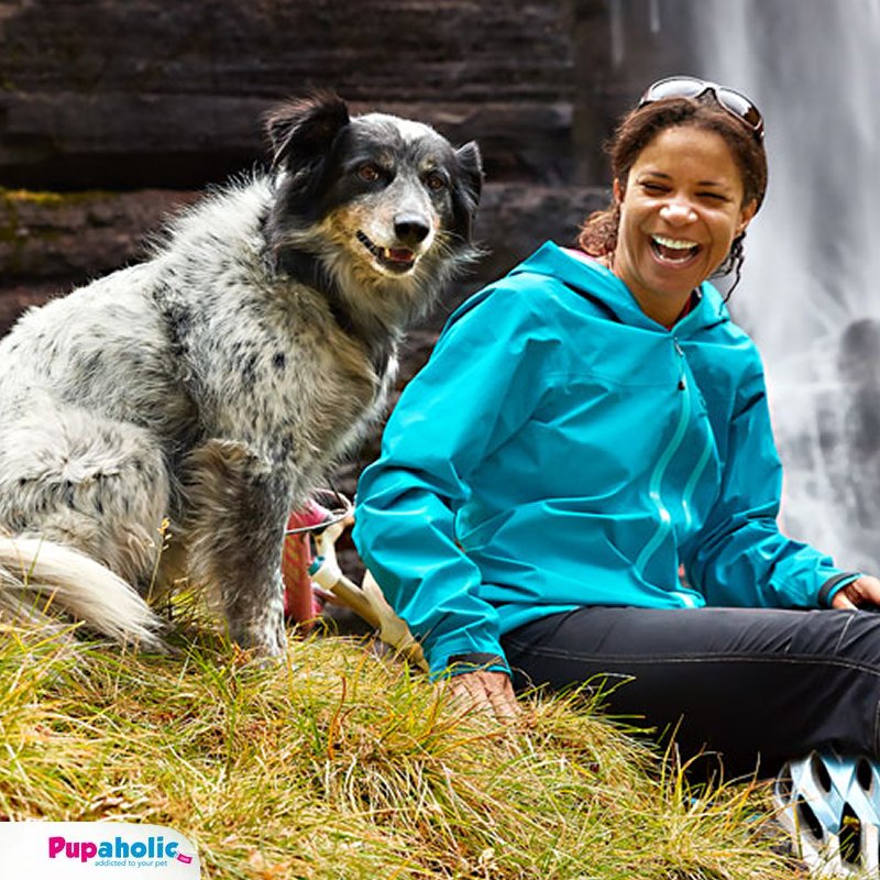 pupaholic's tweet photo. Top 5 Reasons to Get Outdoors with Your Dog

Go beyond the backyard — exploring the great outdoors with your furry friends provides a wealth of health benefits for the body, mind and soul.

1. Immune Boost
2. Mood Improvement
3. Memory Aid
4. Double you’re D

#doghealth #doglife https://t.co/YM2PmiV4X6