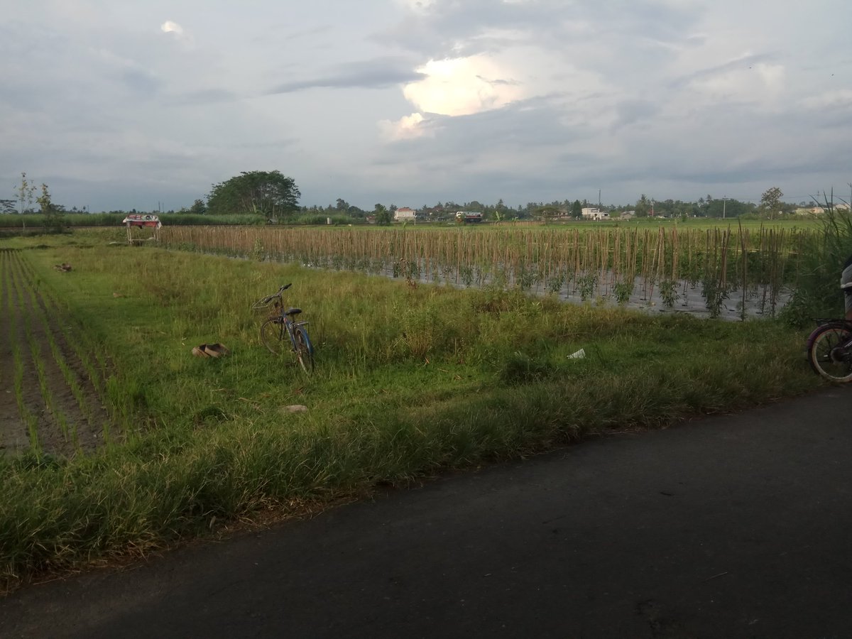 JogjaProperties's tweet photo. #tanah @muh_subkhan:  #dijual tnh shmp 780m2, Ld 8m, dkt rsu pku gamping, jl utma kampung, utrs dsn bodeh, ambarketawang,gamping, 1jt/m, 081325999334  https://t.co/nEwPtnAiBW