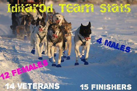GreatAKPizza's tweet photo. Make sure to watch #11 #ironwade Wade Marrs of Stump Jumpin Kennel take off tomorrow for #iditarod2018 #Iditarod #furrondy #furrondyvous #furrondy2018
#gapcopizza is a proud sponsor of Wade Marrs! #turnersyndromeawareness https://t.co/el9u4HFY0Q
