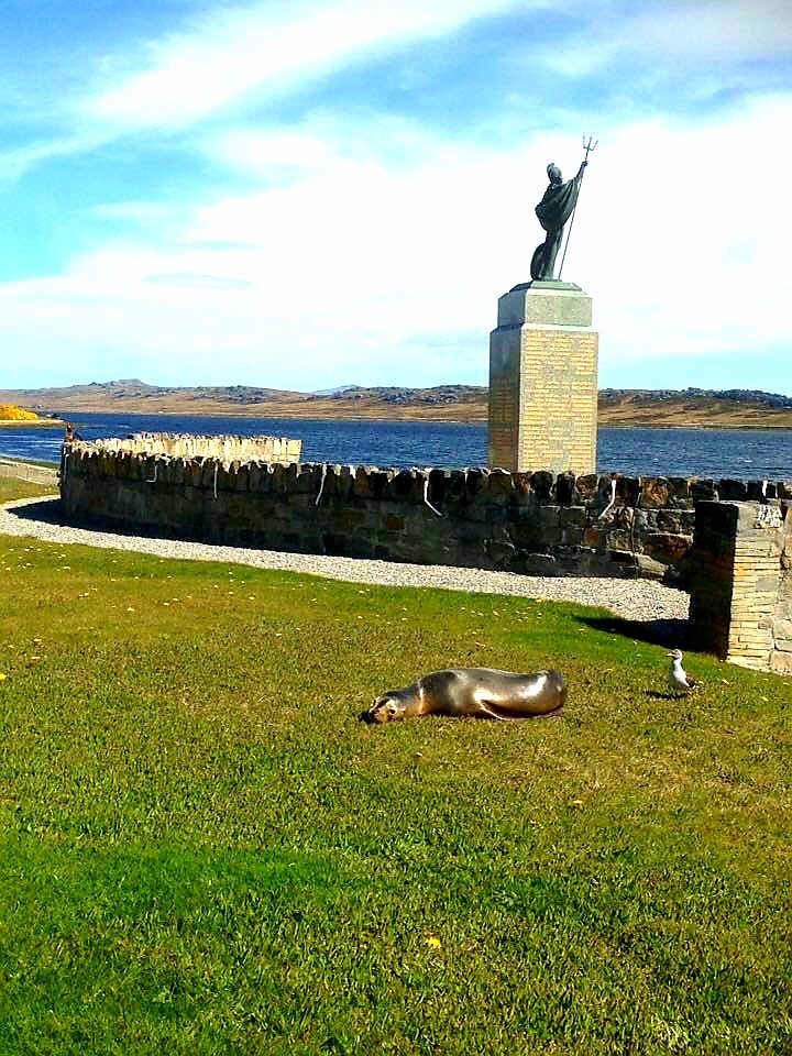 viajesamalvinas's tweet photo. Siestita en el césped de la plaza en #PuertoArgentino #muchaactitud #IslasMalvinas #AtlánticoSur #viajáaMalvinas
#contáctanos info@islasmalvinas.viajes | https://t.co/Eicy99N8VR https://t.co/1SJoySOitA
