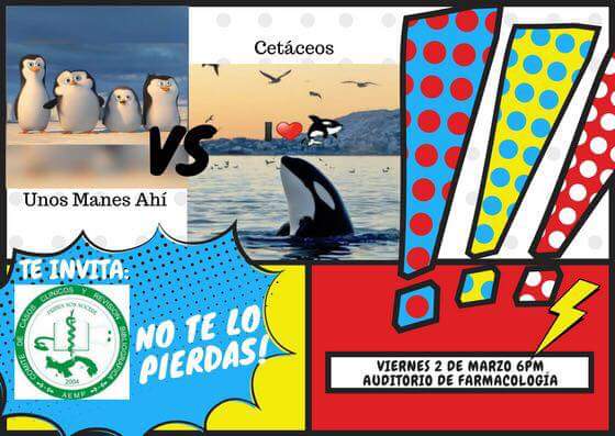 AEMP_UP's tweet photo. Ya empieza el #YoSiSe Ira gala, #cetaceos vs #unosmanesahi, #univero7 vs #lanewwave https://t.co/ozyMZQ7FOD