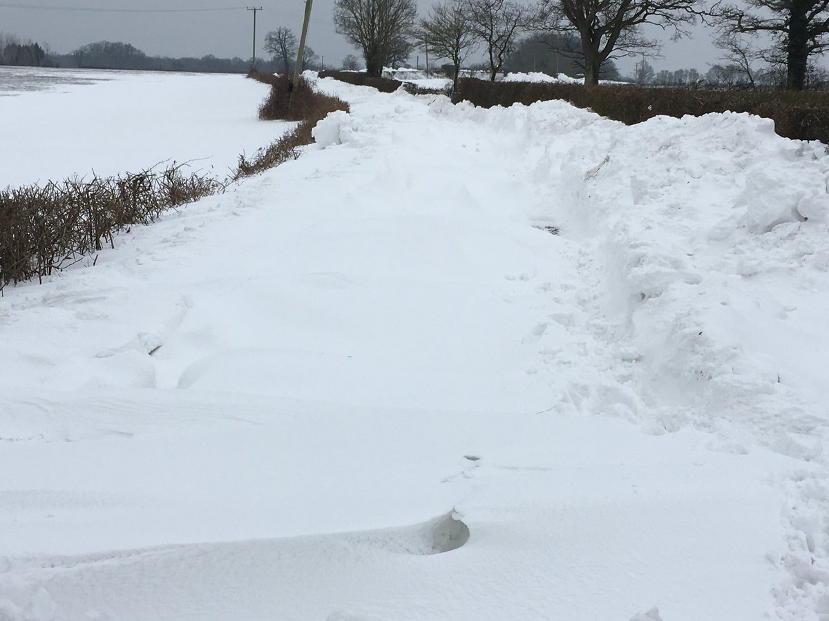 Peter Harrison tweet media