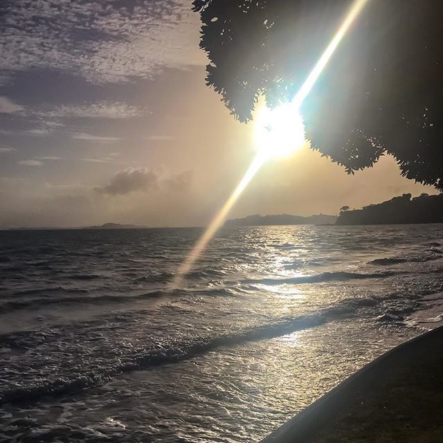 nancyslloyd's tweet photo. Up and out before 8am for a walk on a Saturday, must be getting old 👵🏼 https://t.co/PZ9QbOLbup https://t.co/FsPqTHbFVL