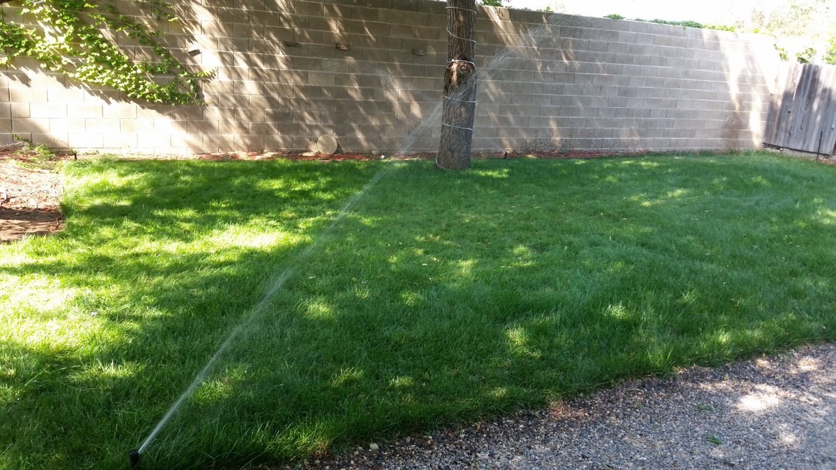 thomas_lndscape's tweet photo. Nothing better than having a lawn put in for you up coming wedding.  #landscape #design #garden #landscapedesign #gardening #gardendesign #lawncare #plants #nature #architecture #landscapearchitecture #luxury #greenery #lawn #landscaper #landscapes #outdoors #Residential #sod https://t.co/SI6gQ6ksvq