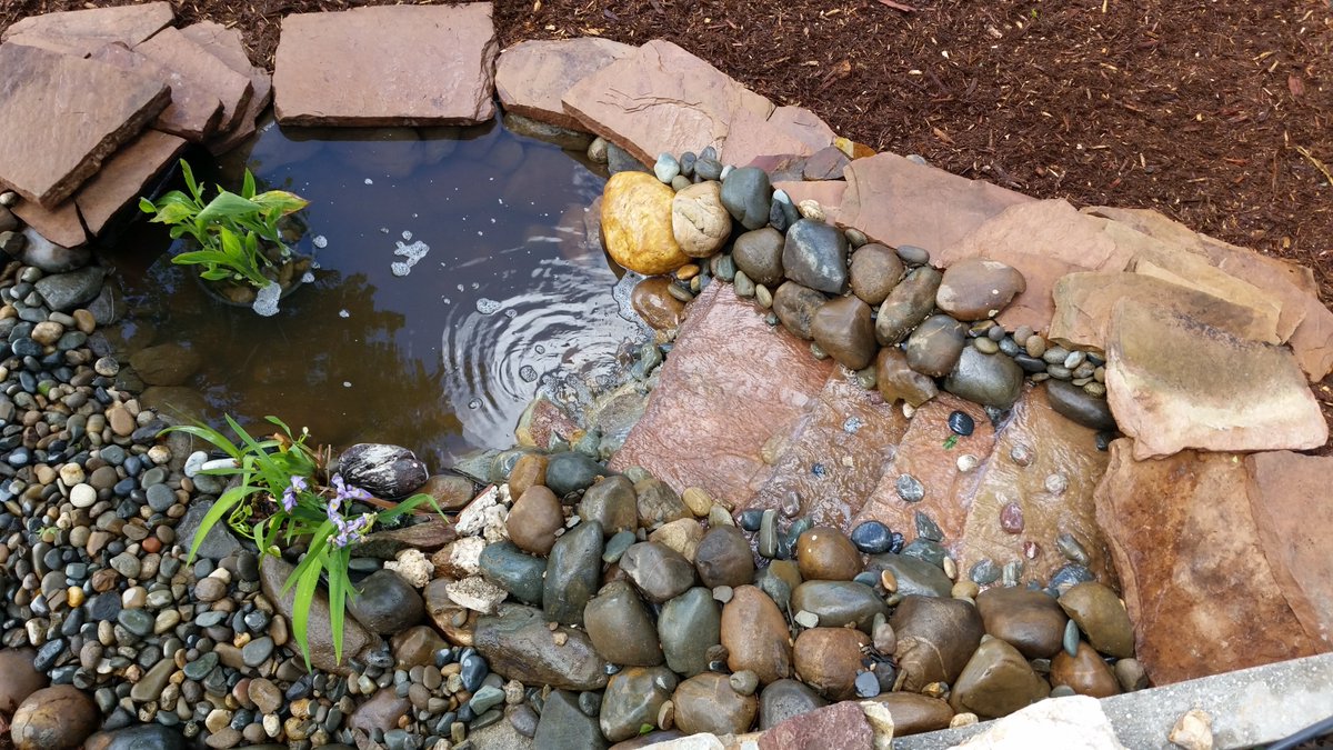 thomas_lndscape's tweet photo. Beautiful flagstone pond surrounded with a shredded redwood bark mulch #riverrock #natural #naturallandscapes #diy #waterfall 
#beautiful #pond #mulch #flagstone #river https://t.co/PZihbbvcKs