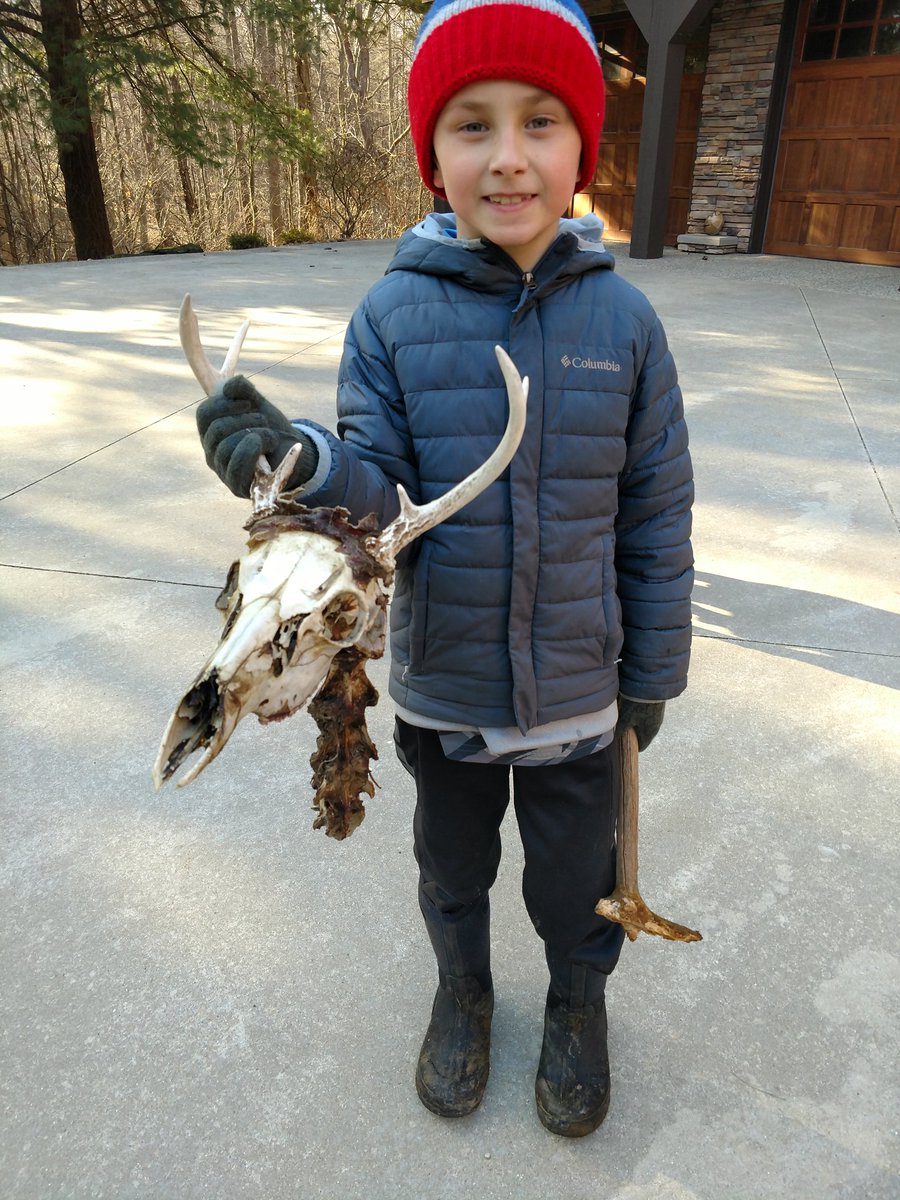 bflet1010's tweet image. Couldn&apos;t get it with our bow but we found it walking in the woods. #spendtimewithyourkids#nature