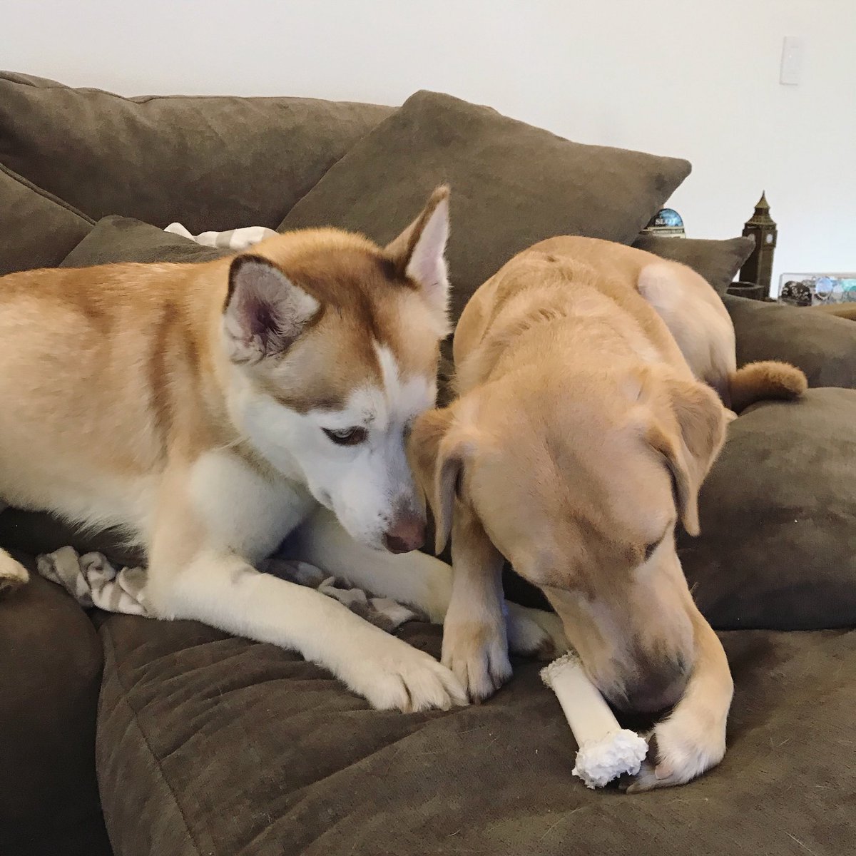 shanedawson's tweet image. i actually can’t breathe