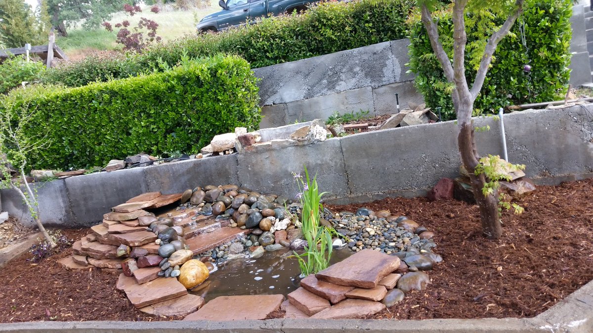 thomas_lndscape's tweet photo. Beautiful flagstone pond surrounded with a shredded redwood bark mulch #riverrock #natural #naturallandscapes #diy #waterfall 
#beautiful #pond #mulch #flagstone #river https://t.co/PZihbbvcKs