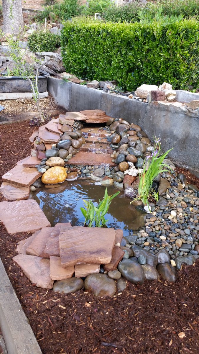 thomas_lndscape's tweet photo. Beautiful flagstone pond surrounded with a shredded redwood bark mulch #riverrock #natural #naturallandscapes #diy #waterfall 
#beautiful #pond #mulch #flagstone #river https://t.co/PZihbbvcKs