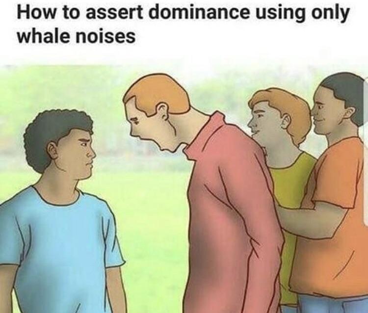 MemeBibel's tweet photo. https://t.co/4kaXRJjKOA