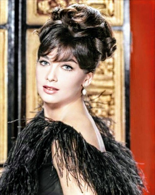 ツッチーフルーティー 今日の黒髪のキレイな一枚 Suzanne Pleshette スザンヌ プレシェット 60年代の女優の中でも 格別にフォトジェニックな欧州系の顔立ち そんな美人をヒッチコックは非情な扱いをした いくらブロンド狂とはいえ悪意ありすぎ もう ツッチーフルーティー 今日の黒髪のキレイな一枚 Suzanne Pleshette スザンヌ プレシェット 60年代の女優の中でも 格別にフォトジェニックな欧州系の顔立ち そんな美人をヒッチコックは非情な扱いをした いくらブロンド狂とはいえ悪意ありすぎ もう