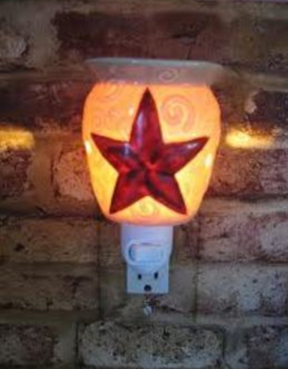 #HappyTexasIndependenceDay 
#RusticStar mini warmer Order here: scentwarmers.scentsy.us/party/9048017