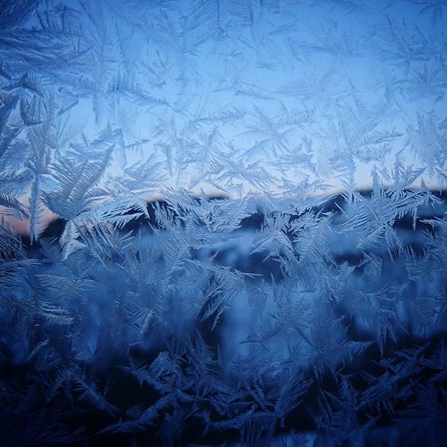 LindaUrsin's tweet photo. It's been very cold the last couple of days
#ice #icepattern #icecrystals #cold #winterphotos #strangebirdphotos https://t.co/phc9RsaDQ5 https://t.co/WRozK6tO9m