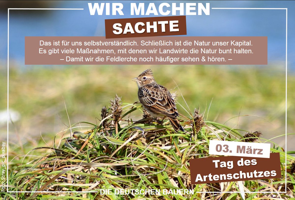 #Biodiversität #Naturschutz #Landwirtschaft. Heute ist Tag des Artenschutzes.