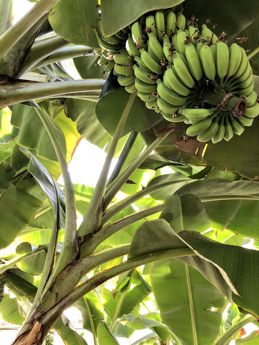 家に帰るまでが旅行