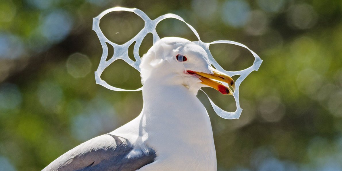 Onelesspieceofplastic tweet media