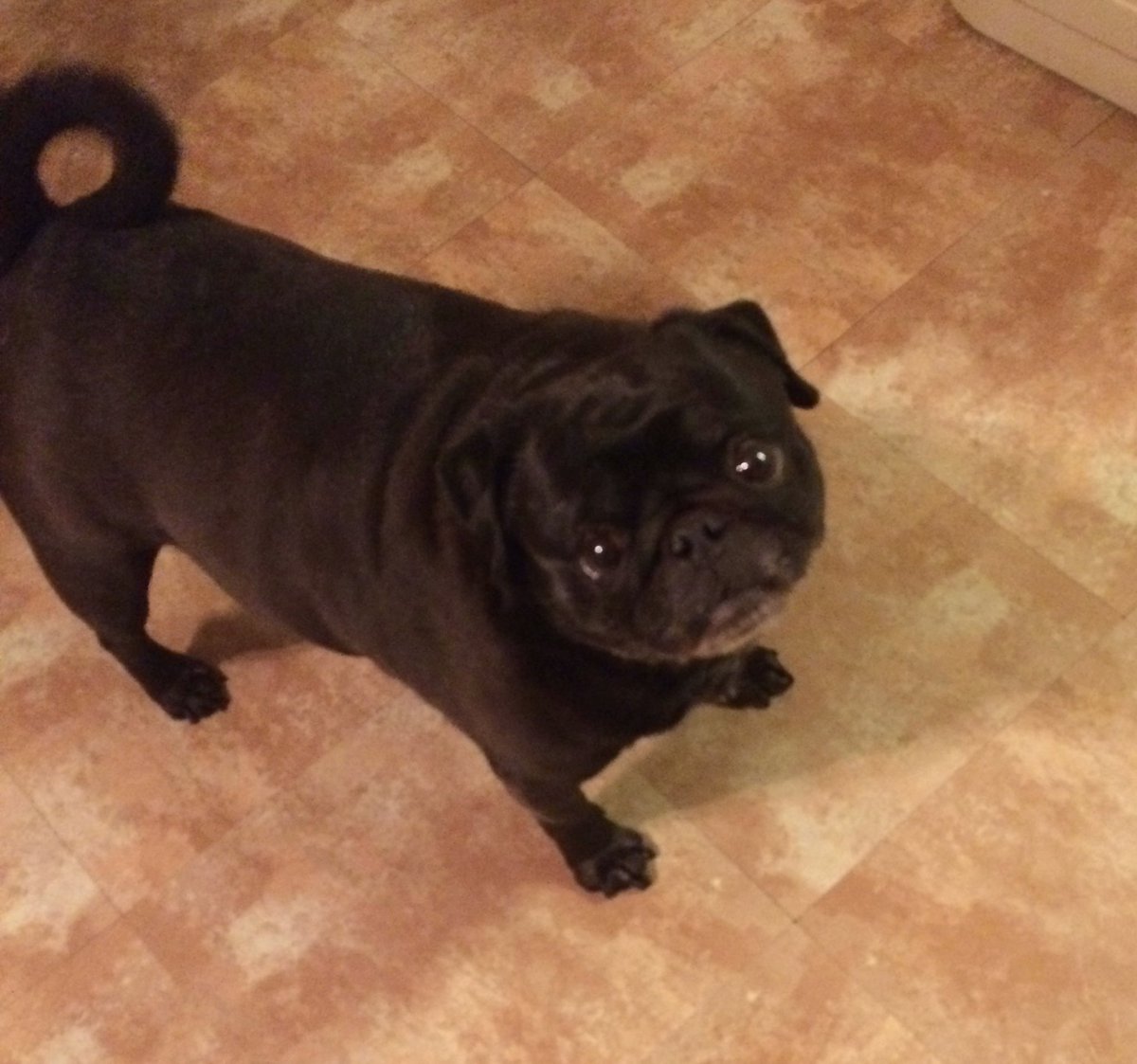 Snowed in. No problem. ❄️☃️❄️