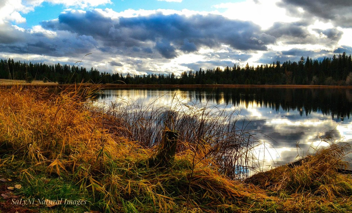 spokanehouse's tweet photo. Enjoy your Friday evening with this beautiful #Photography from @tennis45luv "Throwback capture at beautiful Bear Lake โค#NaturePhotography #wawx #Spokane #localhikes #inlandnw #landscapephotography" https://t.co/gTgT1zIYI5