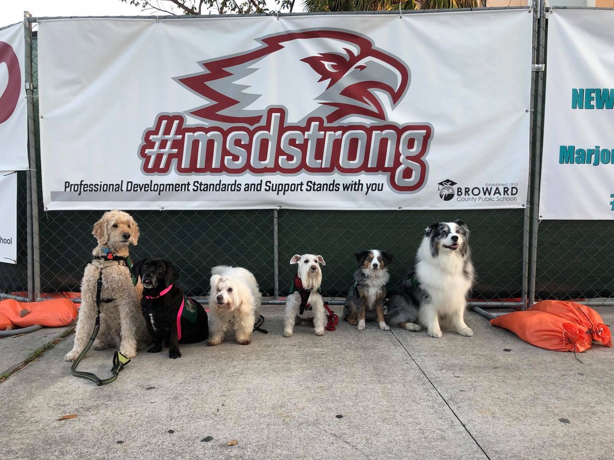 AATHSBC's tweet photo. Therapy dogs Bentley, Daisy, Grace, Lili, Karma and Bella welcoming the students back on the third day of school. We love our MSD students ❤️ #msdstrong #reclaimthenest #douglasstrong #parklandstrong #therapydogs #humanebroward https://t.co/eRUUWYP2vB