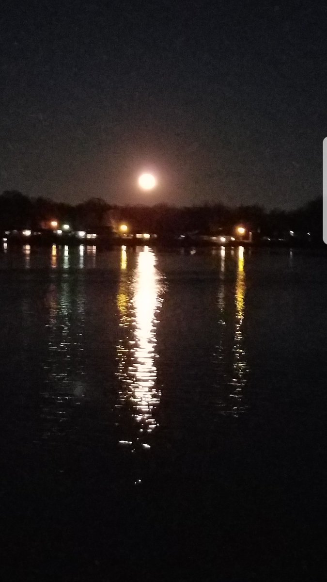 janigigi's tweet photo. #RiverLivers https://t.co/bn9doU6DaC