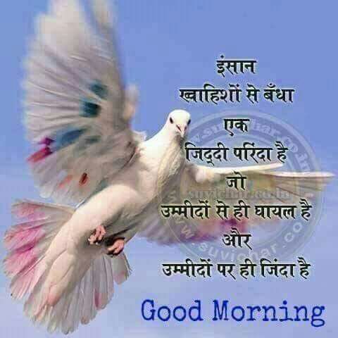 HariRatnu's tweet photo. https://t.co/pKfMruTSCv
