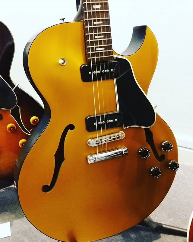 ThaliaCapos's tweet photo. Aside from selling some awesome capos (hint hint), G77+ in Singapore has a great selection of guitars!
#Repost: Hardly see one of these around, a goldtop ES137!
#g77plus #gibsones137 📷: @g77plus https://t.co/mvt2wKd85U