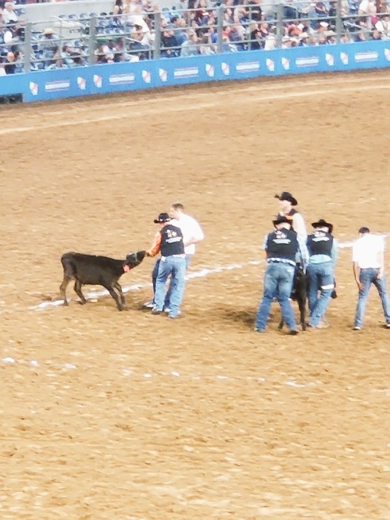 MrsSchauffler's tweet image. ..they both caught!! HLSR 2019.. here we come!