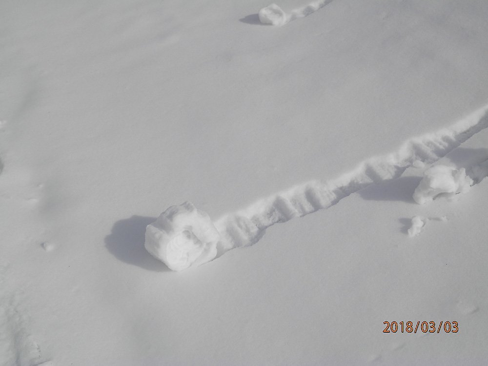 風や斜面で転がった雪がロールケーキみたいになる 雪まくり 現象が可愛い えのげ 風や斜面で転がった雪がロールケーキみたいになる 雪まくり 現象が可愛い えのげ