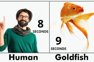 cynymeyer's tweet photo. More reasons to include compelling visuals in your marketing effort: Five Reasons People Are Wired for Visual Marketing [Infographic] https://t.co/N5Ur1biB79 https://t.co/nuXWJAUlhq