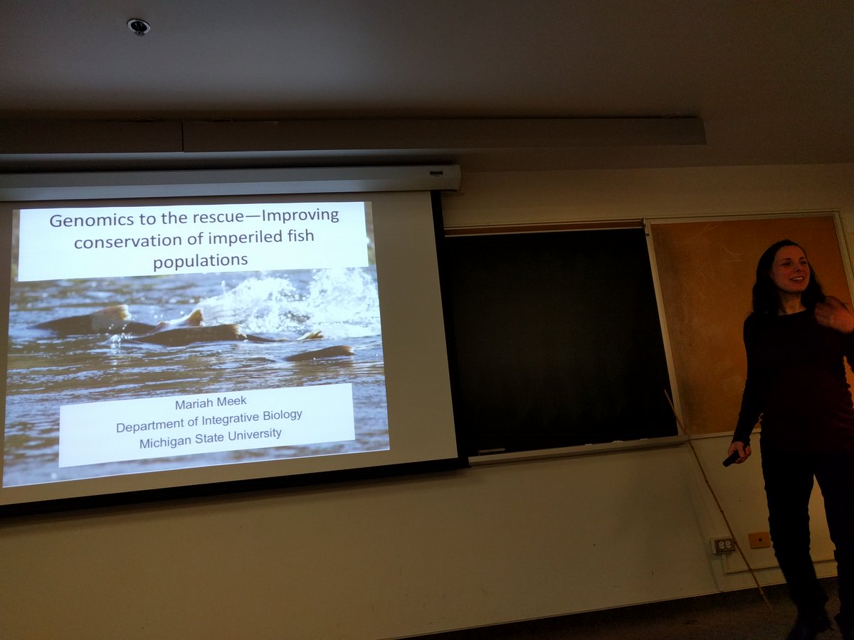 This week <a href="/eebconservation/">EEB Conservation</a> was honoured to host the brilliant @mhmeek who gave a great talk on how advances in genomics may be used to improve chinook salmon conservation efforts in California! Thanks so much for coming @mhmeek!