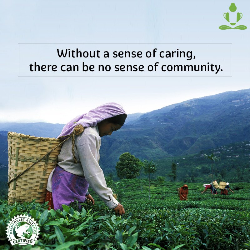 teamonkglobal's tweet photo. We support biodiversity conservation as much as we care about our plantation workers. With each cup of our tea that you drink, we create a small difference in their lives.
#WorldWildLifeDay #RainforestCertified #Teamonk
https://t.co/OAydSo8x56 https://t.co/A8rYmQmoab