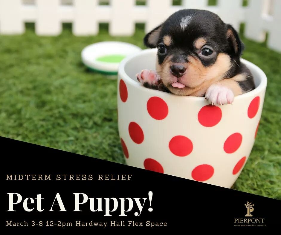 PierpontCTC's tweet photo. Take a break from midterms with a little help from Pierpont's Veterinary Technology Program and the Office of Counseling and Disability Services https://t.co/eHj7jiIper