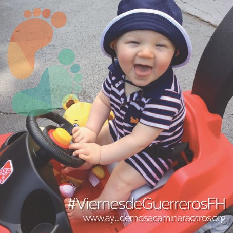 CarreraFH's tweet photo. Porque nunca es muy pronto para empezar a manejar a sus 8 meses Liam ya empezó las clases #ViernesdeGuerrerosFH https://t.co/RIualPgOv7
