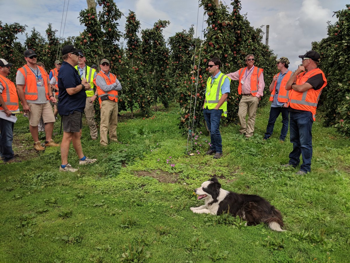 jmcextman's tweet photo. Nuances of growing Envy with Ian Palmer #iftaNZ https://t.co/xUeKHBtMd2