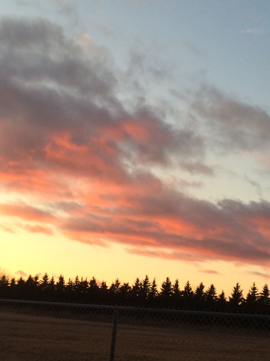 TravellerBRPS's tweet photo. When your 8 year old asks you to pull over so she can take a picture of the 'warm colours' sunset, then you don't hesitate. #nolionhere #2march2018 https://t.co/Wjs0sjuz4i
