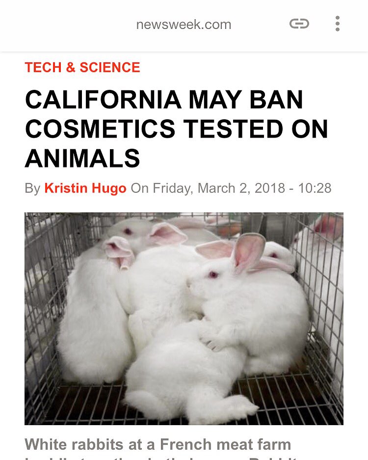 SCIL_Tweets's tweet photo. Big THANK YOU to #Newsweek for acknowledging our #California sponsored bill!! #Galgiani #JudieMancuso #SCIL #SocialCompassionInLegislation #California #BanCosmeticTestingOnAnimals #CrueltyFreeCosmetics https://t.co/wW52RITmpb