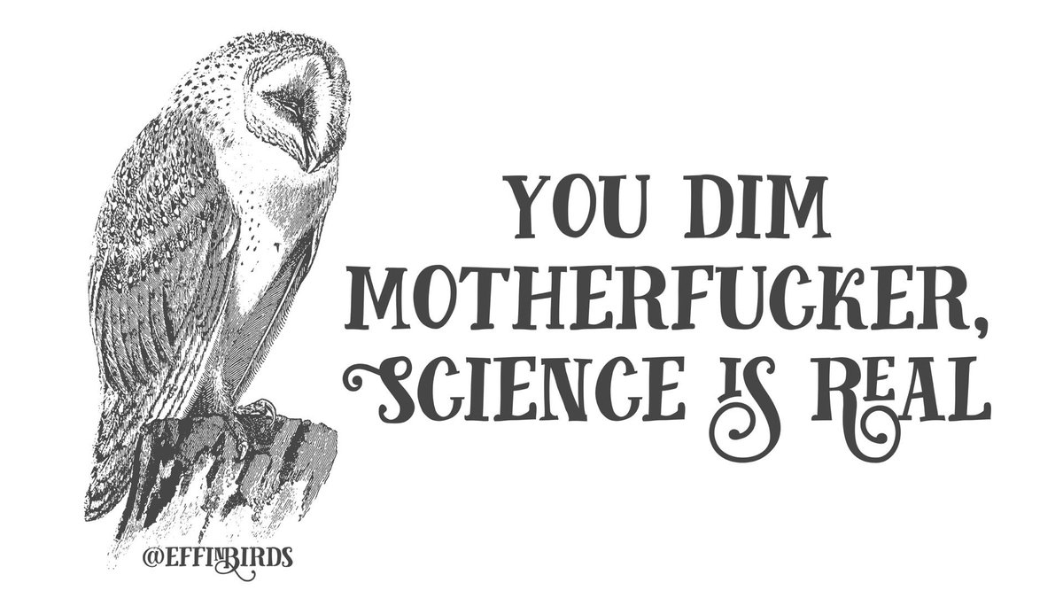 EffinBirds's tweet photo. https://t.co/s27dbOsd6v