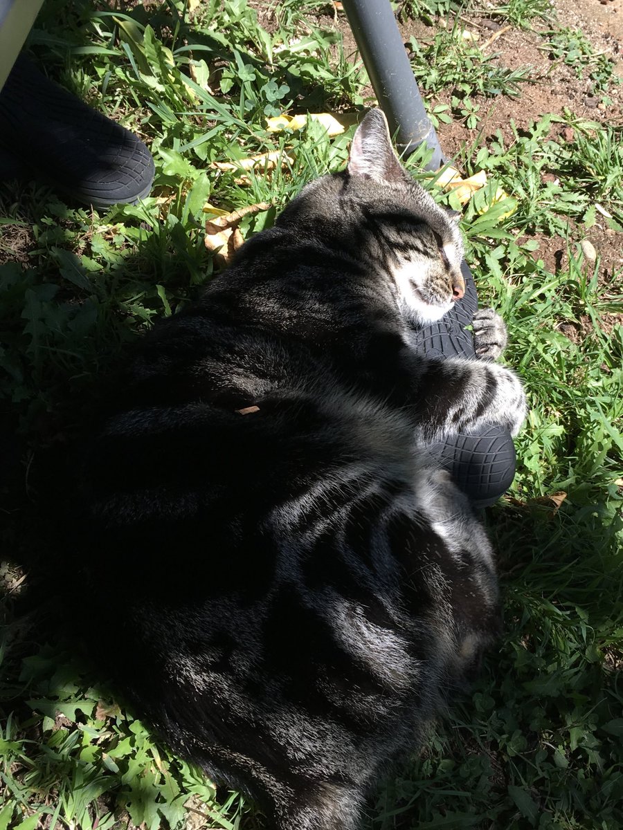 🦋AmazinAdrielle🦋 tweet media