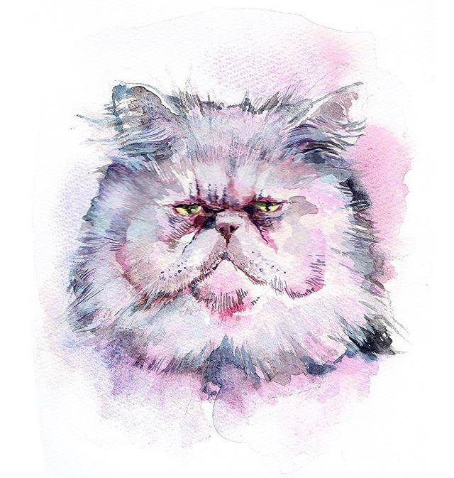 ペルシャ猫のtwitterイラスト検索結果 古い順 ペルシャ猫のtwitterイラスト検索結果 古い順
