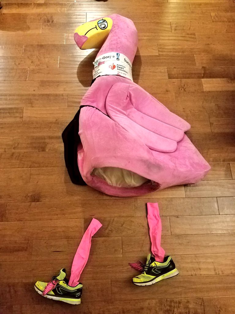 SucreGorge's tweet photo. ❓🤔
🇺🇸🇬🇧 Guess what flamingo 🐦 costume I won't 🏃 in tomorrow for 👇?
@KeiraHenninger Griffith Park ⛰️🏃
➡️: 50km/30mi
⬆️: +1900m/+6200ft
🌧️☔🌡️9°C/48°F
🇫🇷 Devine quel costume je ne vais pas prendre pour 👆?
#UkRunChat 1st #Ultra Ever 😱 https://t.co/CUgjZm0I09