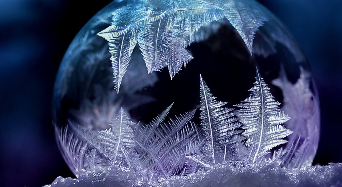Lacy orb... #frozenbubble #macro
