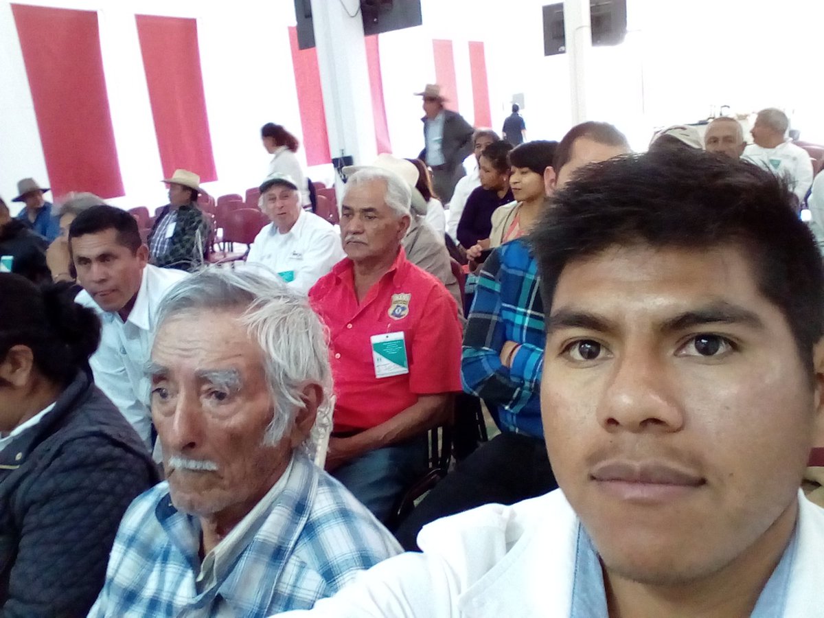 Berna_godb's tweet photo. Satisfecho por la participación en el taller de sistematizacion, con la participación de los productores pilares del #extensionismoGto @DesdeGto @14Marijuani @Bettyvaz2 @incarural @ExtensionismoMx representante del grupo #mesitadeltigre presente 😀😀 https://t.co/f5FT7470MB