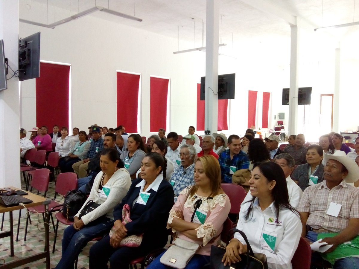 Berna_godb's tweet photo. Satisfecho por la participación en el taller de sistematizacion, con la participación de los productores pilares del #extensionismoGto @DesdeGto @14Marijuani @Bettyvaz2 @incarural @ExtensionismoMx representante del grupo #mesitadeltigre presente 😀😀 https://t.co/f5FT7470MB