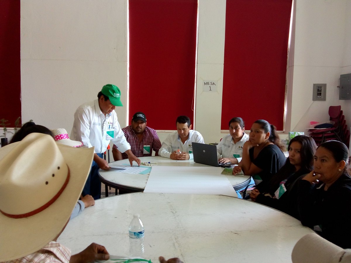 Berna_godb's tweet photo. Satisfecho por la participación en el taller de sistematizacion, con la participación de los productores pilares del #extensionismoGto @DesdeGto @14Marijuani @Bettyvaz2 @incarural @ExtensionismoMx representante del grupo #mesitadeltigre presente 😀😀 https://t.co/f5FT7470MB