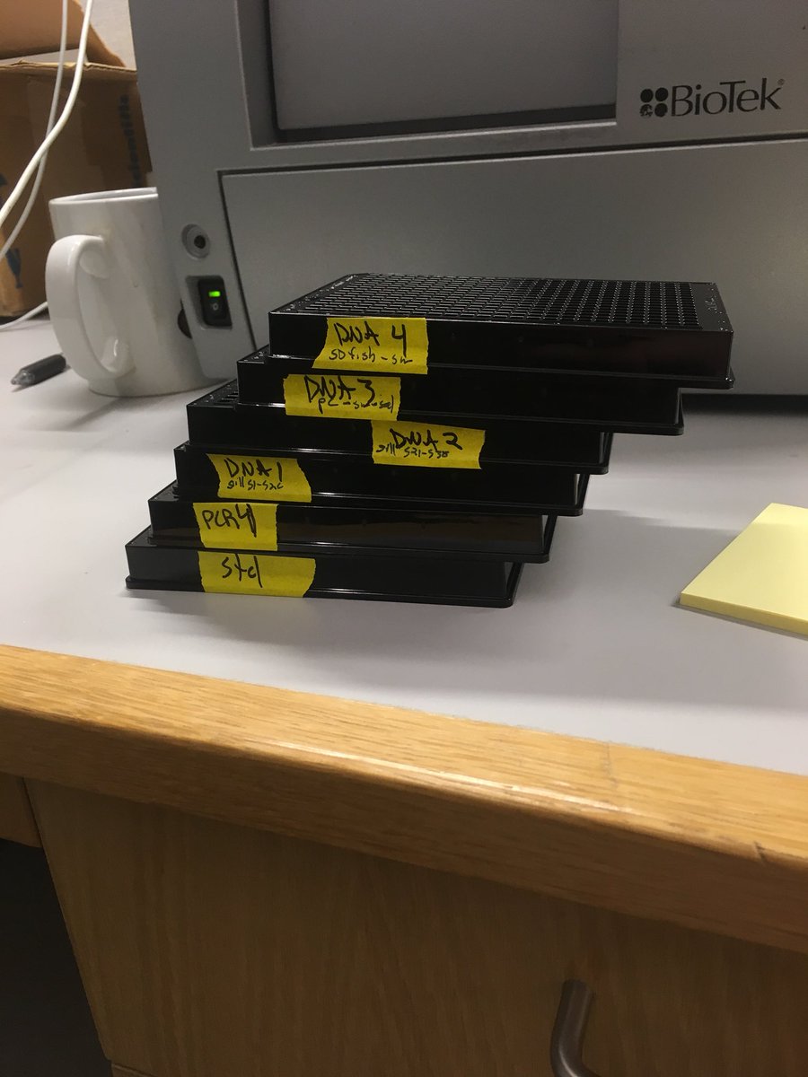 jjminich's tweet photo. Quantifying 1536 DNA samples and 384 libraries in 2 hours compared to 3 months will never get old #automation #labcyte #ttplabtech #epmotion https://t.co/YtGjJ2t7AI