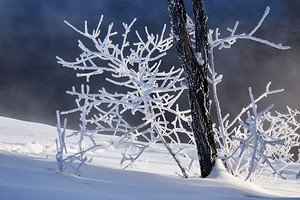 together666's tweet image. Морозно